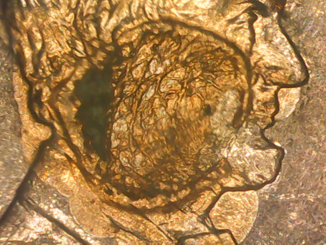 2003-Lincoln-Cent-With-A-Cancerous-Jaw